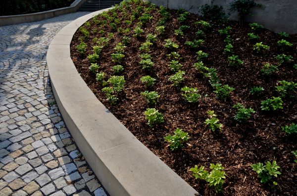Retaining Wall Repair in Hopkins