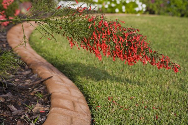 Brick Edging in Hopkins