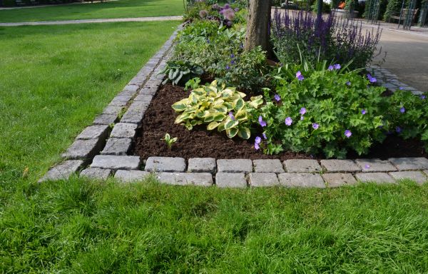Stone Edging Installation in Hopkins