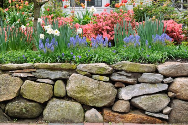 Stone Wall Hardscaping in Hopkins