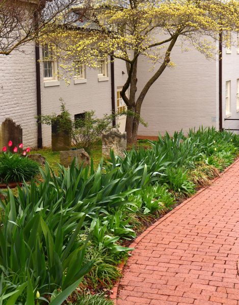 Brick Flatwork Repair in Hopkins
